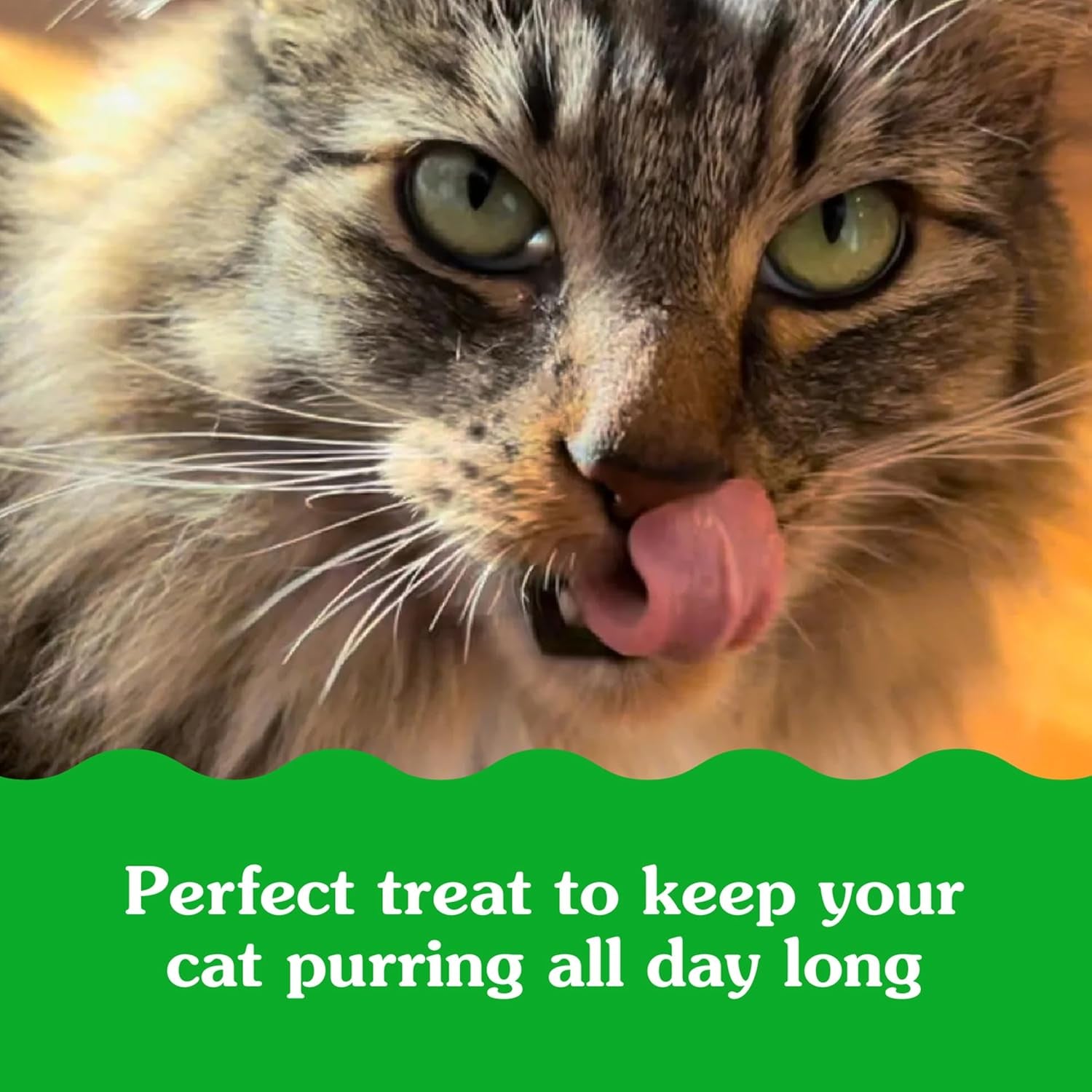 Feline SMARTBITES Healthy Skin and Fur, Chicken and Salmon Flavors, All Bag Sizes